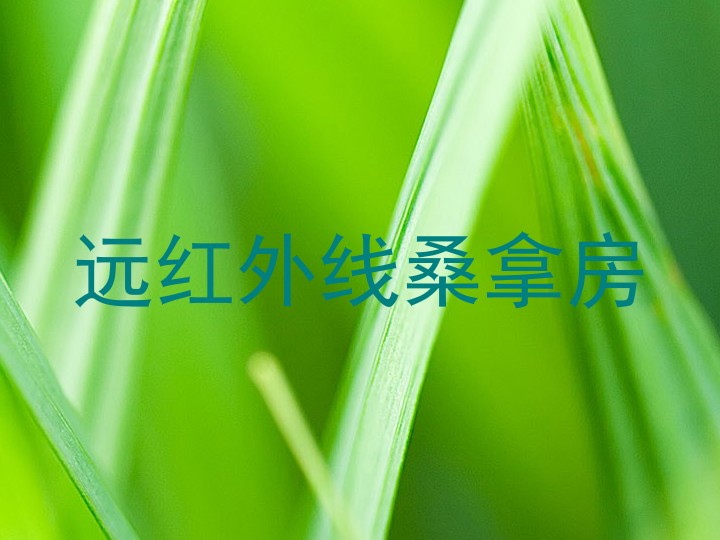远红外线桑拿房