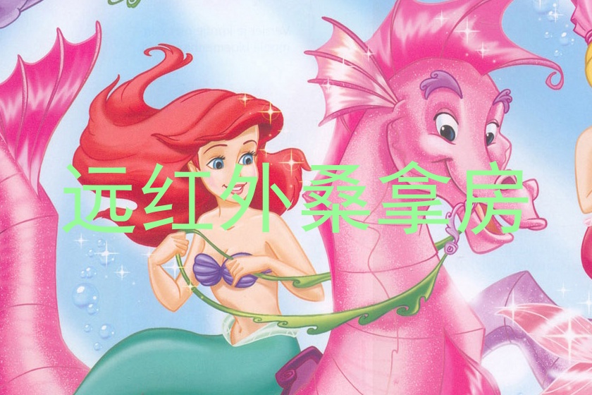 远红外桑拿房