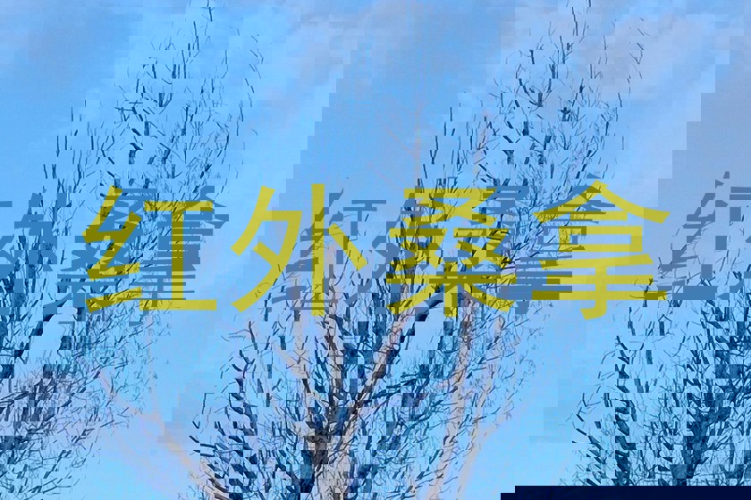 红外桑拿