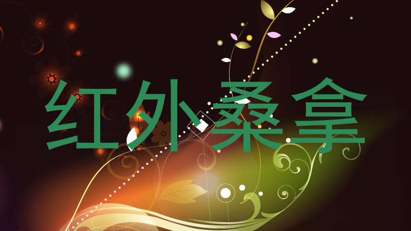 红外桑拿