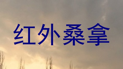 红外桑拿