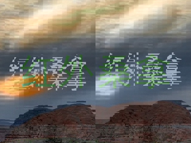 红外桑拿