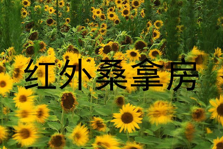红外桑拿房