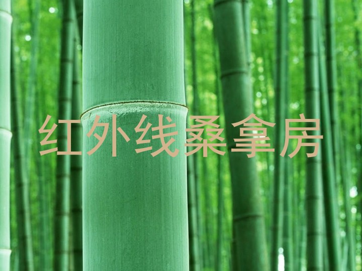 红外线桑拿房