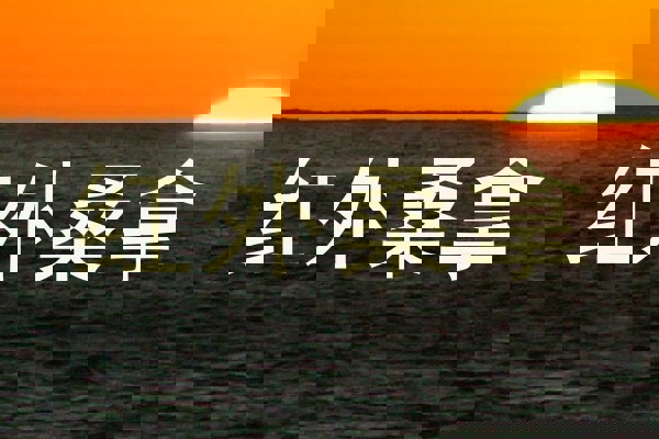 红外桑拿