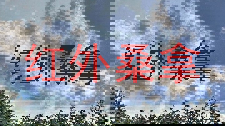 红外桑拿