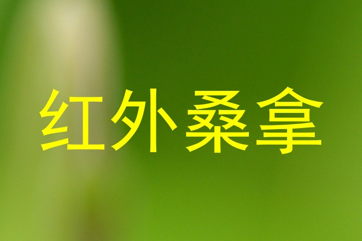 红外桑拿