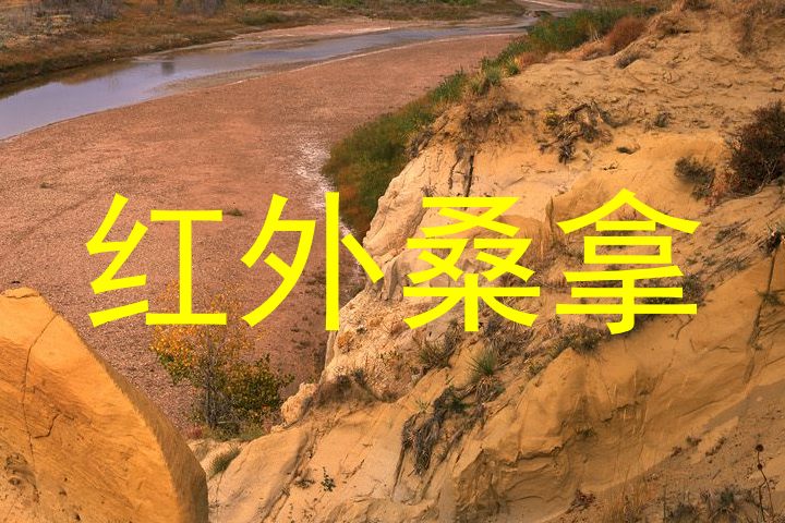 红外桑拿