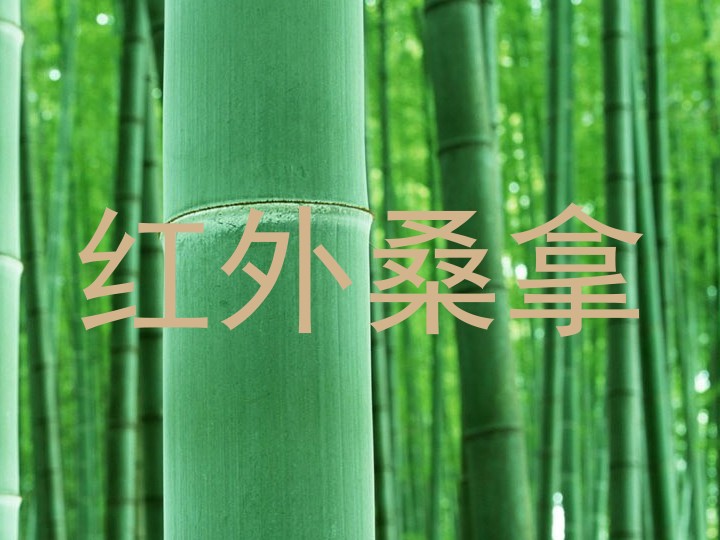 红外桑拿
