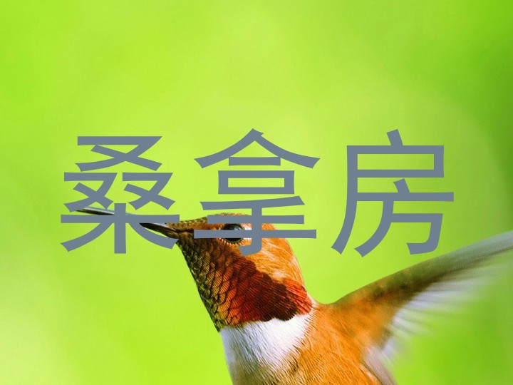 桑拿房