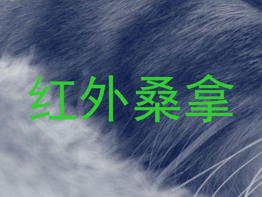 红外桑拿