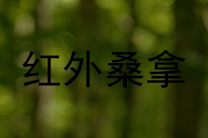 红外桑拿