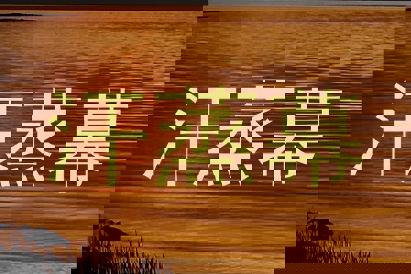 汗蒸幕
