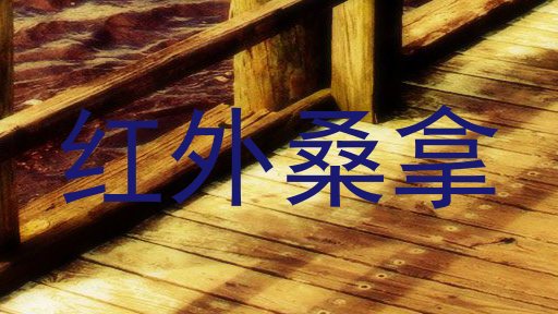 红外桑拿