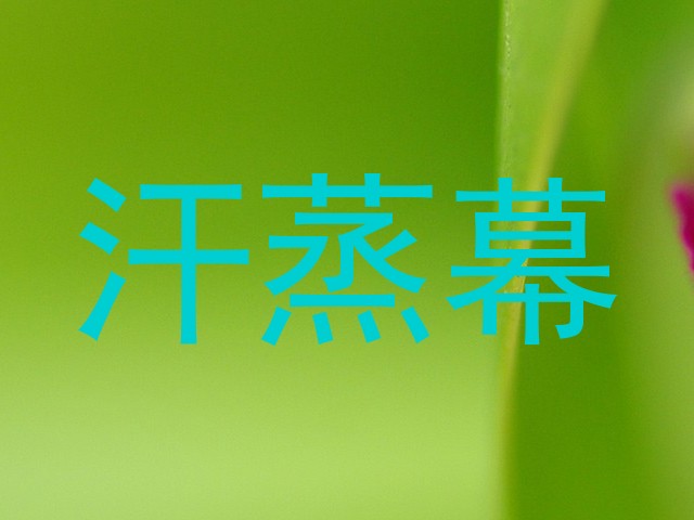 汗蒸幕