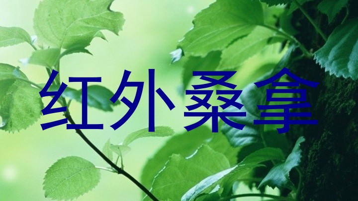 红外桑拿