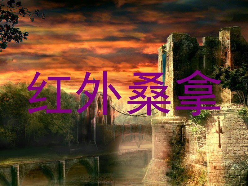 红外桑拿