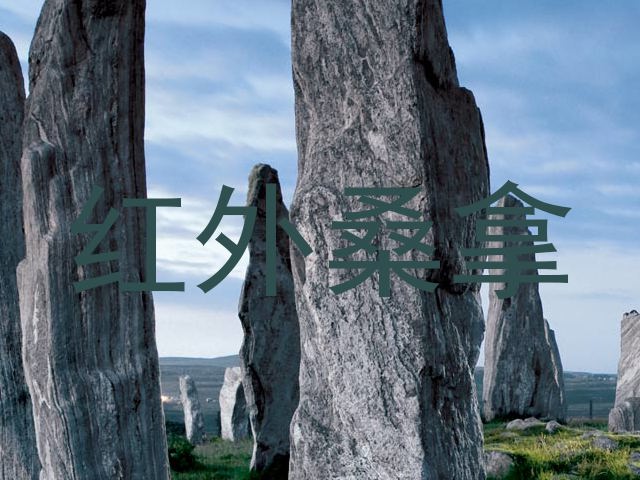 红外桑拿