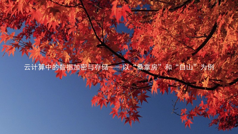 云计算中的数据加密与存储——以“桑拿房”和“白山”为例