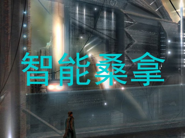 智能桑拿