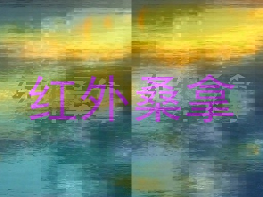 红外桑拿