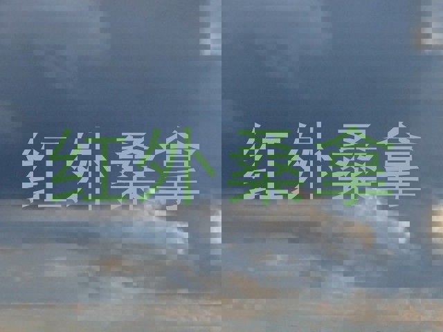 红外桑拿