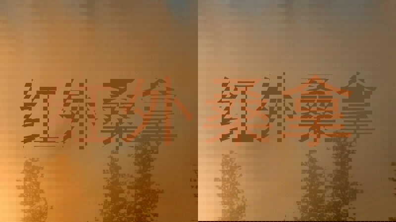 红外桑拿