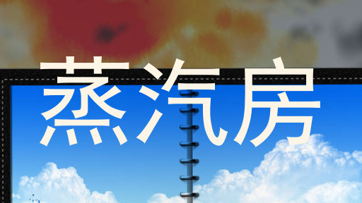 蒸汽房