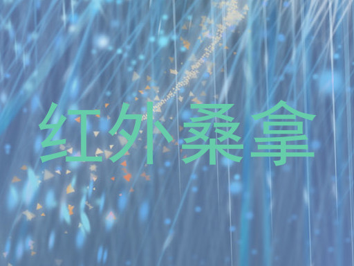 红外桑拿