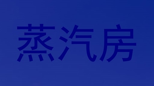 蒸汽房