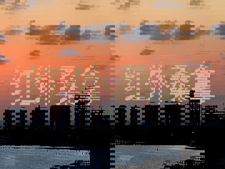 红外桑拿