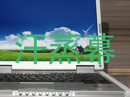 汗蒸幕