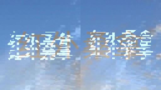 红外桑拿