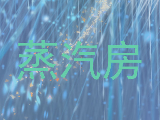 蒸汽房