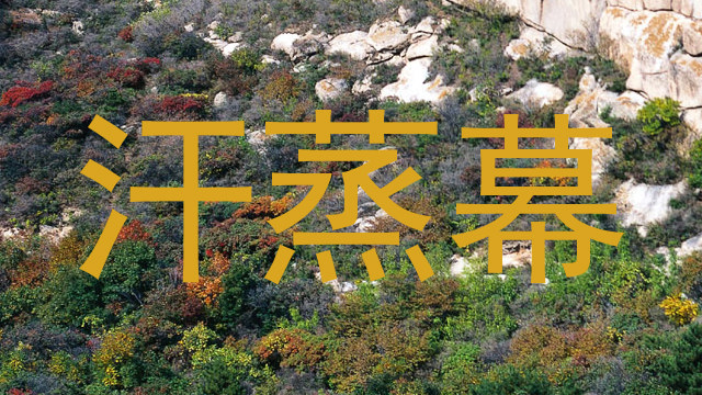 汗蒸幕
