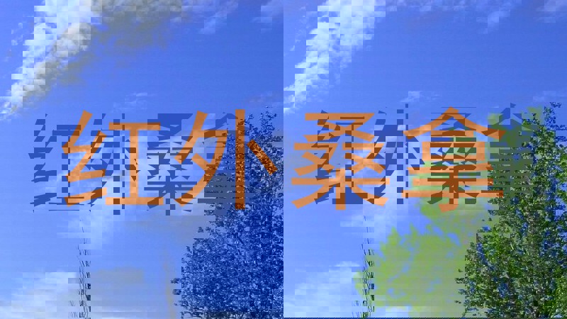 红外桑拿