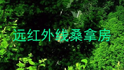 远红外线桑拿房