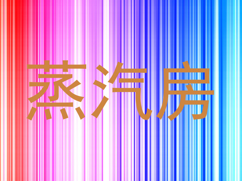 蒸汽房