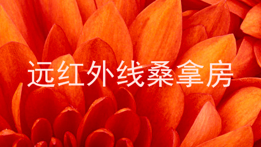 远红外线桑拿房