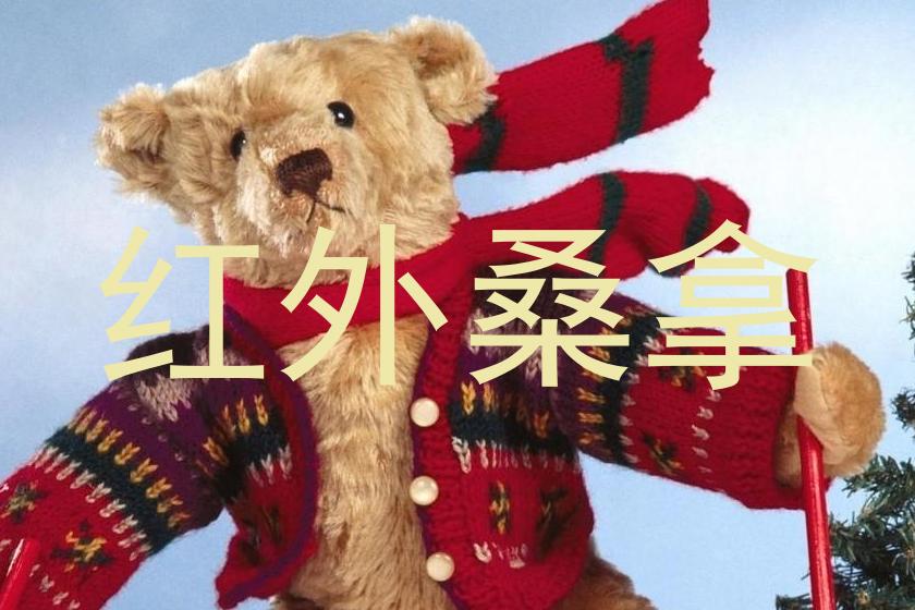红外桑拿