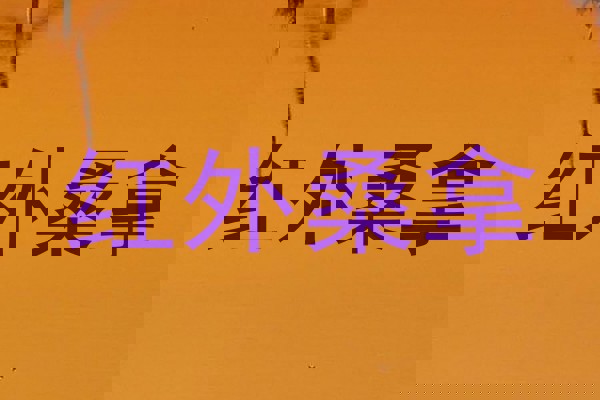 红外桑拿