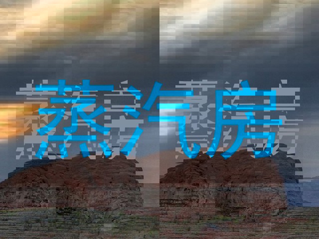 蒸汽房