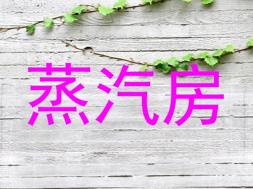 蒸汽房