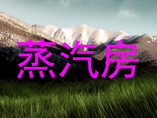 蒸汽房