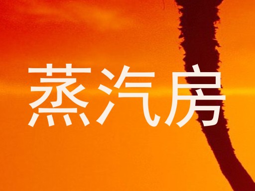 蒸汽房