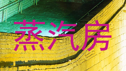 蒸汽房