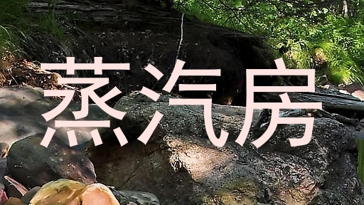蒸汽房