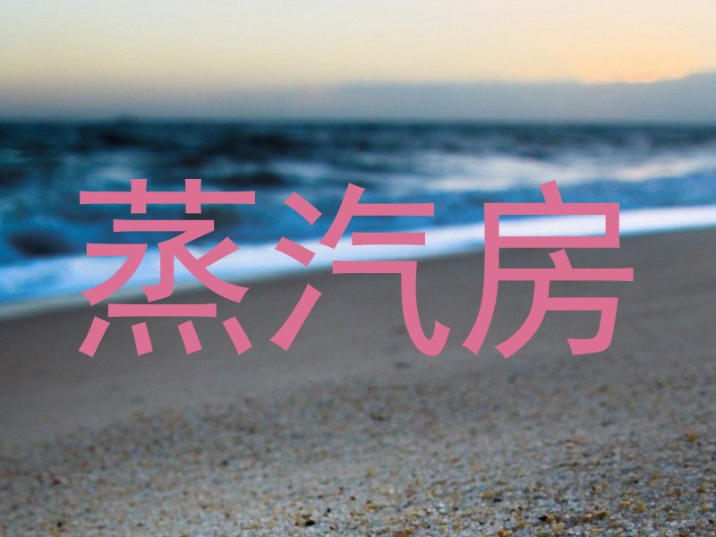 蒸汽房
