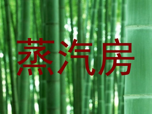 蒸汽房