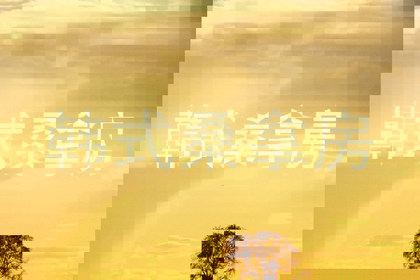 韩式桑拿房
